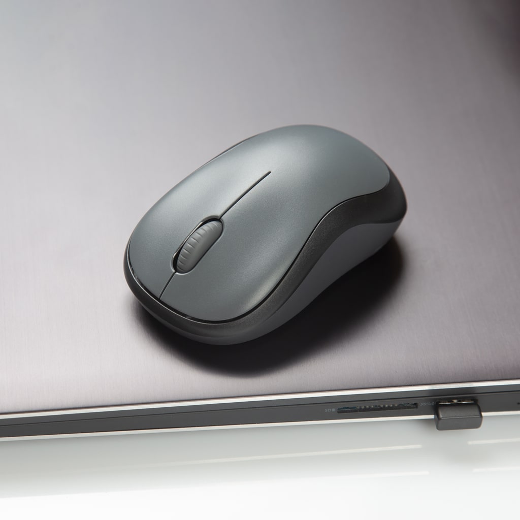 Before Clipping Path Services for eCommerce Business Owners