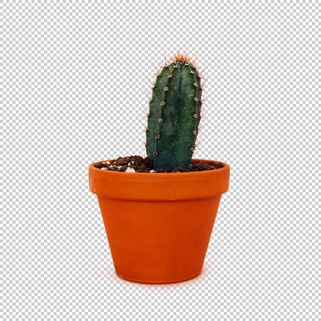 After Object Masking Services