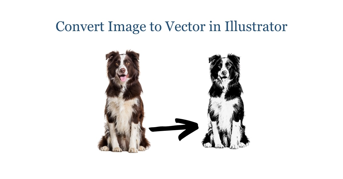 Convert Image to Vector in Illustrator