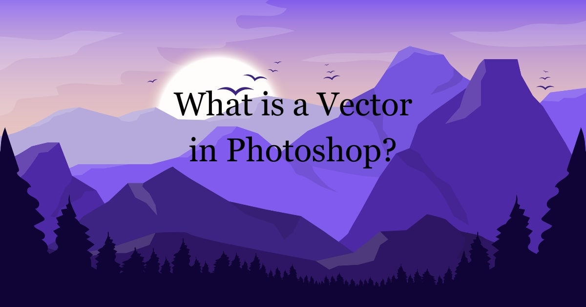 What is Vector in Photoshop?