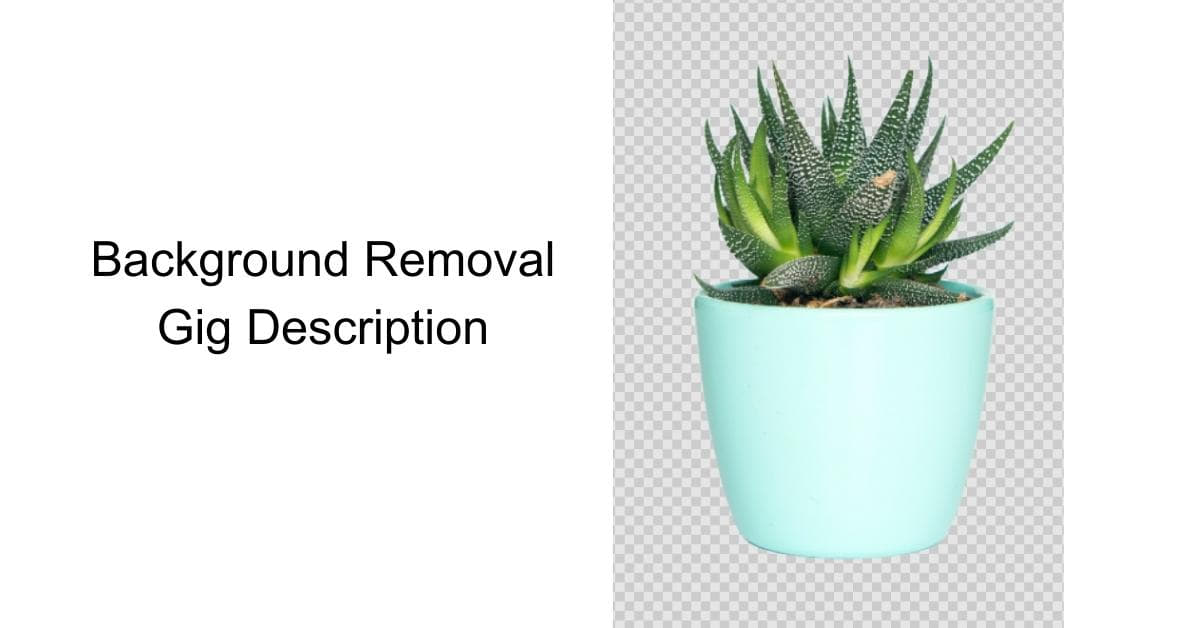 Background Removal Gig Description Sample
