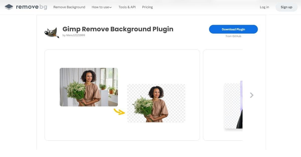 Background Removal Gimp Plugin