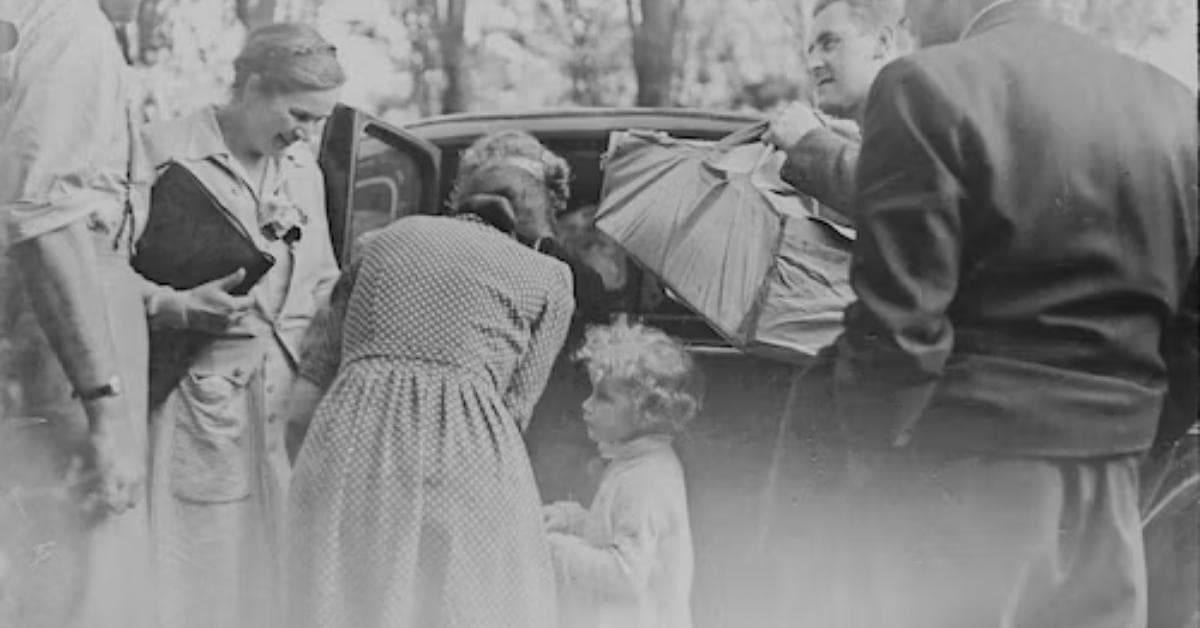Digital Photo Restoration