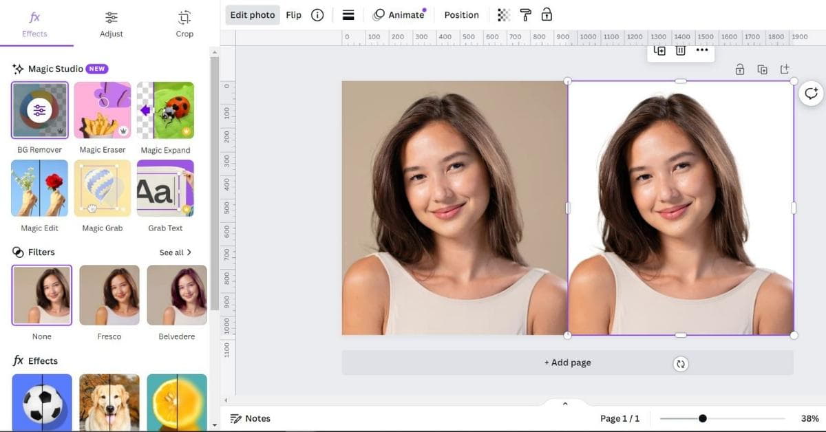 Photo Background Removal Software