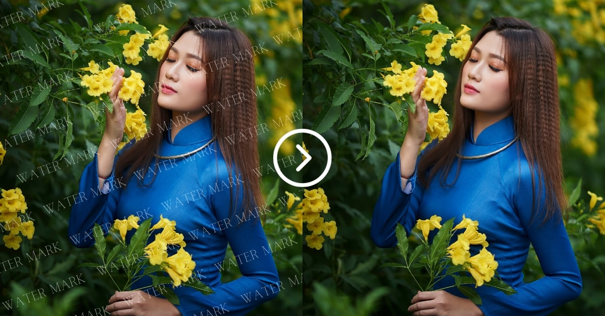 Photo Editing Watermarks