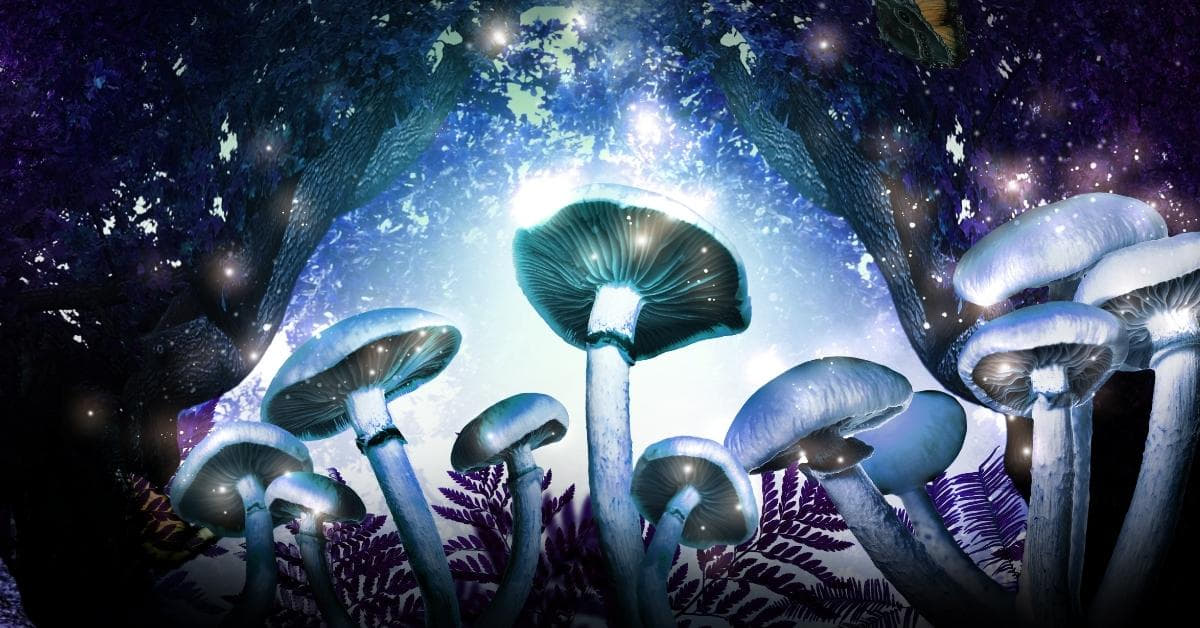 Photo Manipulation Glow