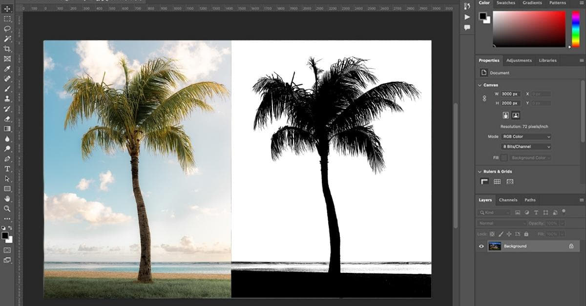 Photoshop Alpha Mask