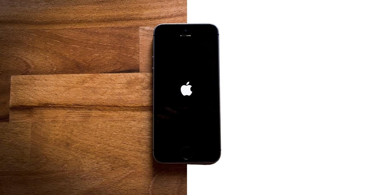 Background Removal Services