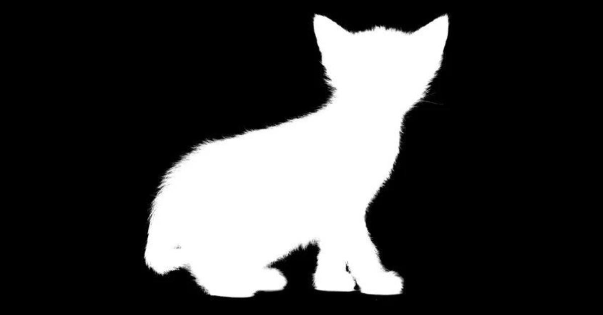 Black and White Masking in Photoshop