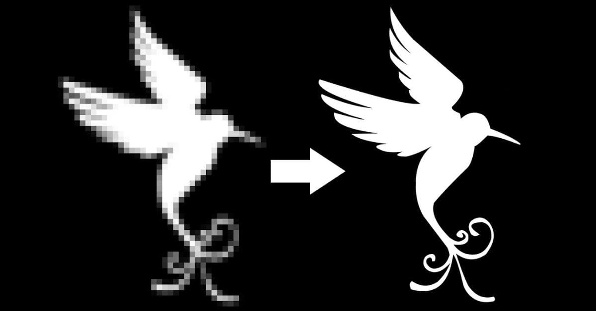 Can You Convert A Raster Image To Vector