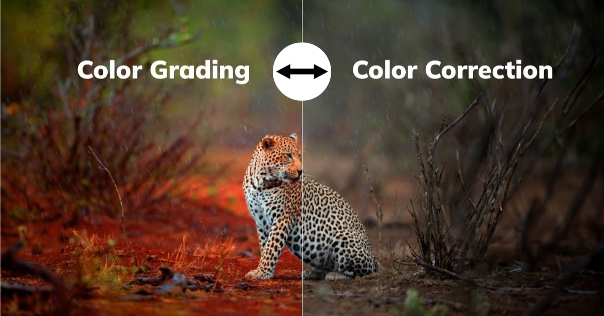 Color Correction and Color Grading