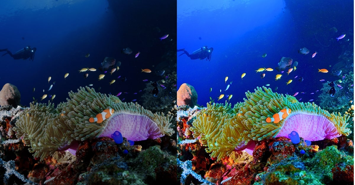 GoPro Underwater Color Correction