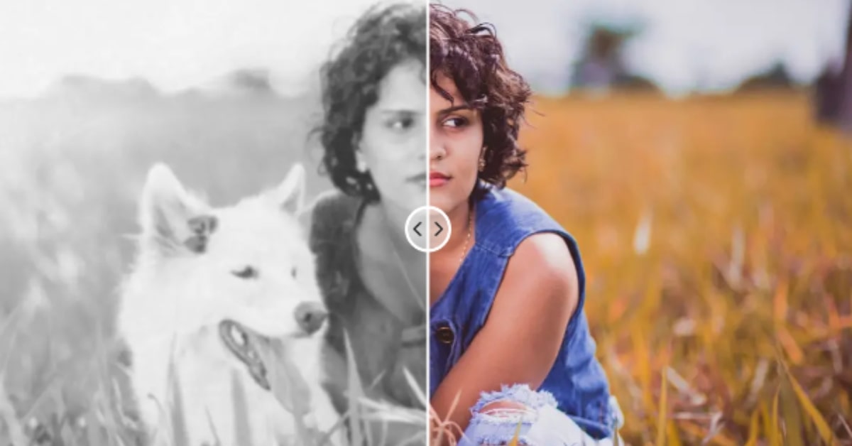 How Can I Restore the Quality of a Picture For Free
