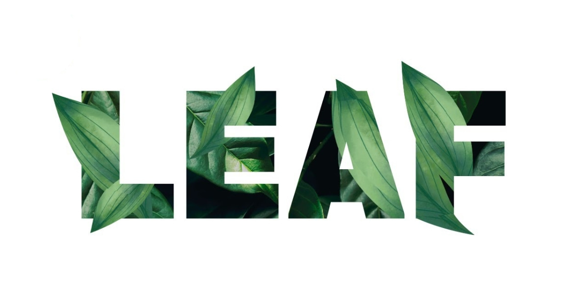 How Do I Mask an Image to Text in Canva