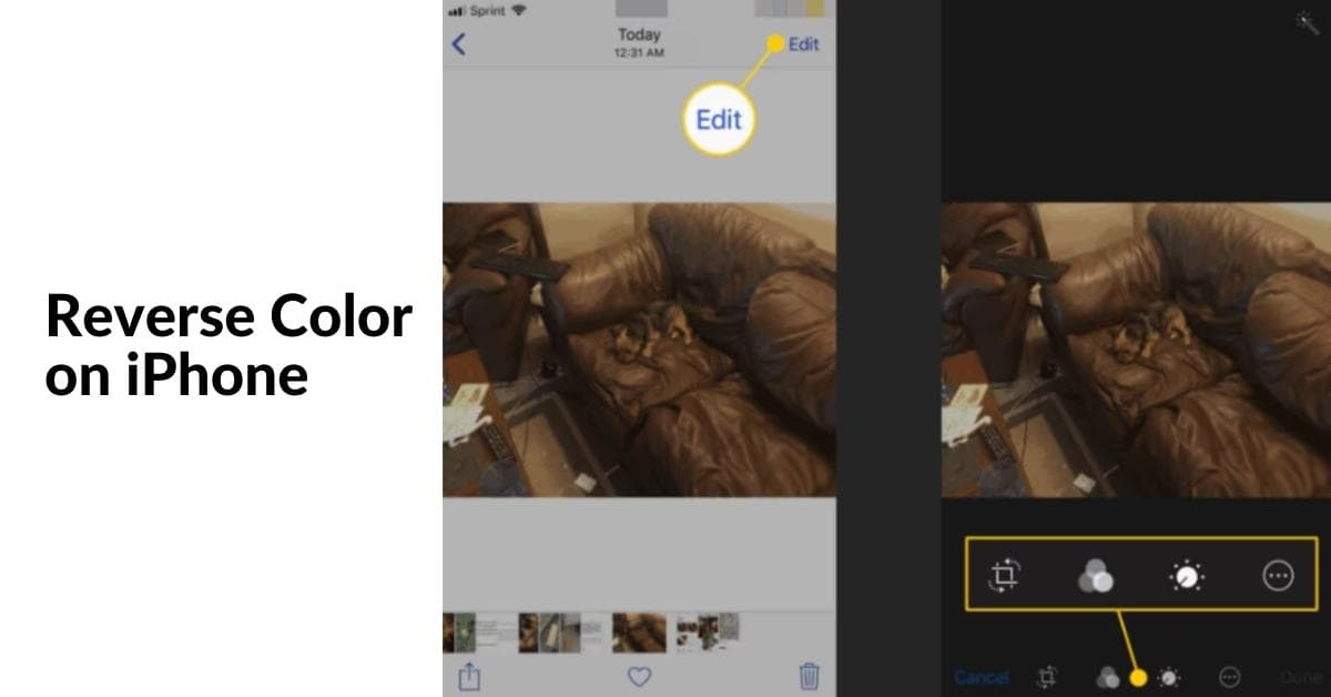 How Do You Reverse The Color Of A Picture On iPhone