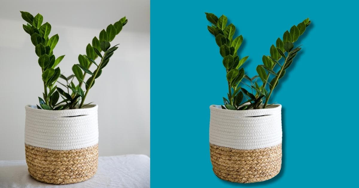 Photo Background Editing Services