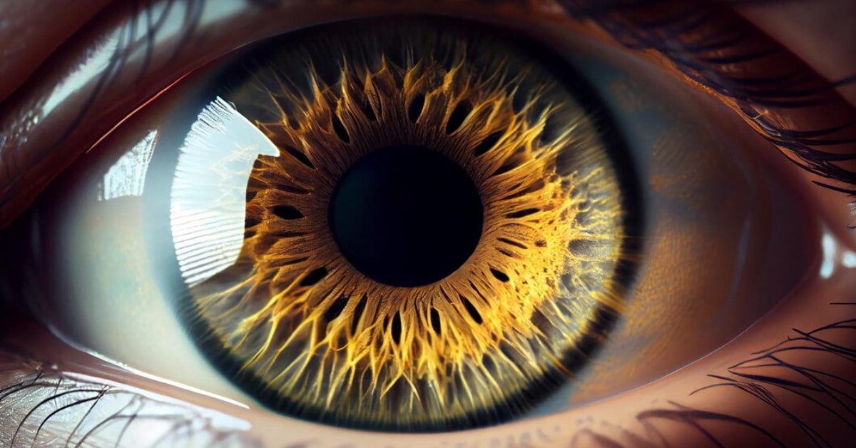 Photo Manipulation Websites
