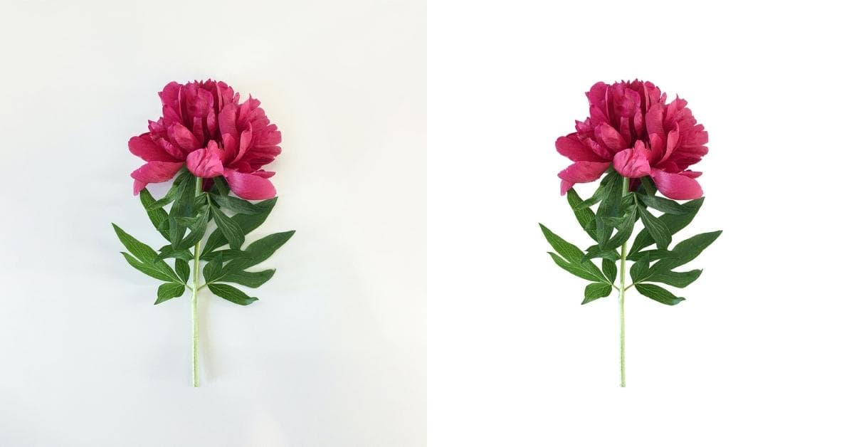 Photo Masking