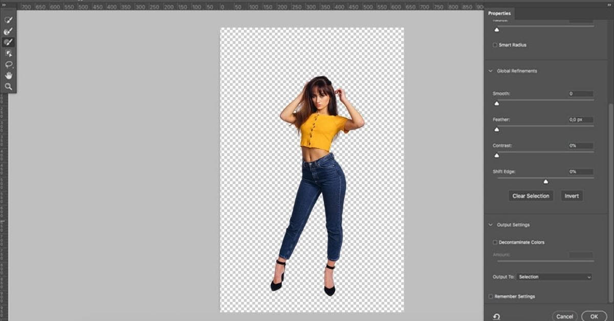 Photo Masking Software