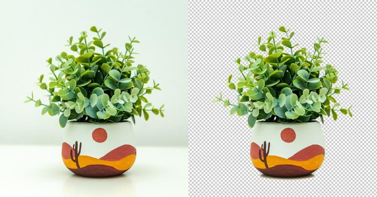 Professional Image Masking Service