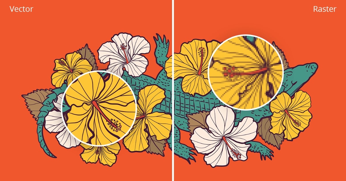 Raster to vector design