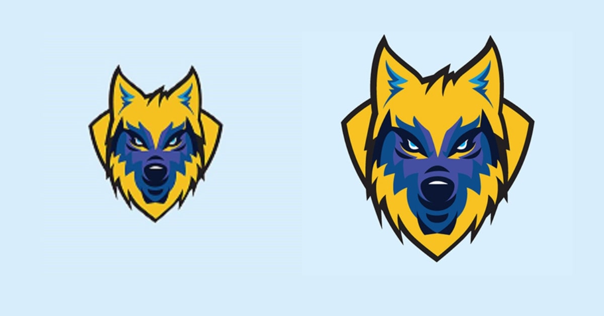 Vector Conversion Software