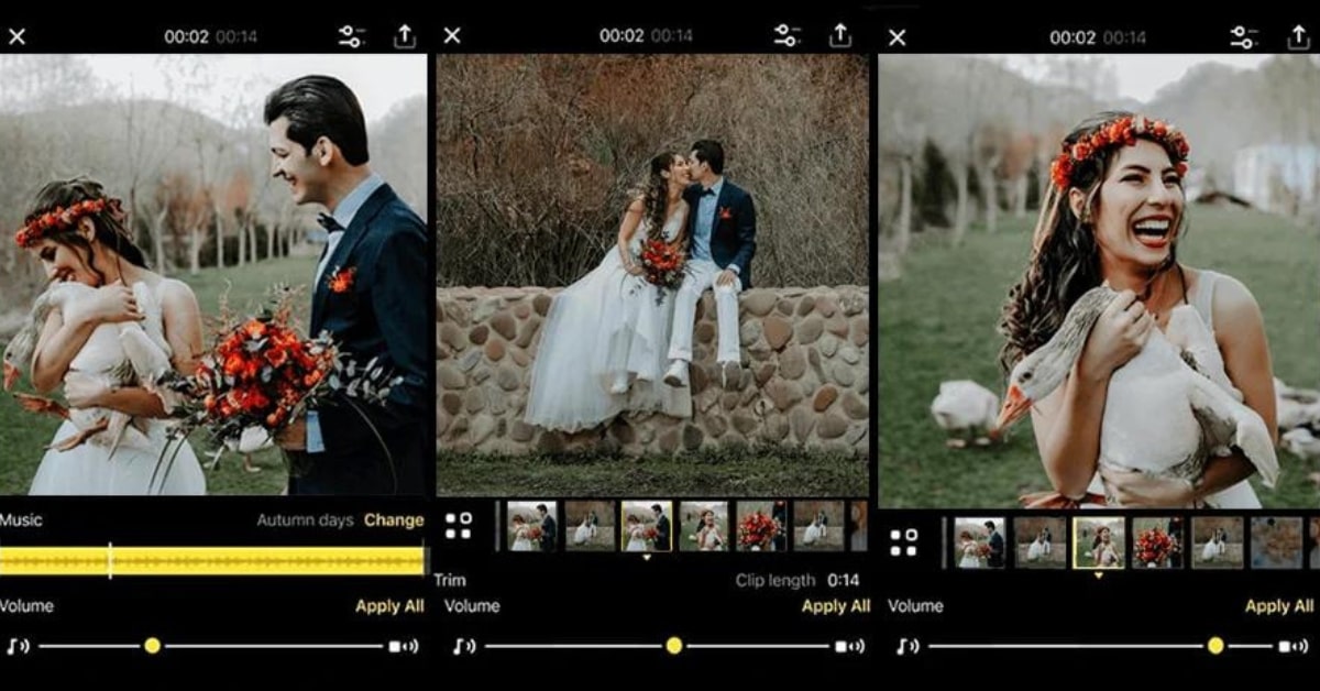 Wedding Photo Editor Apps