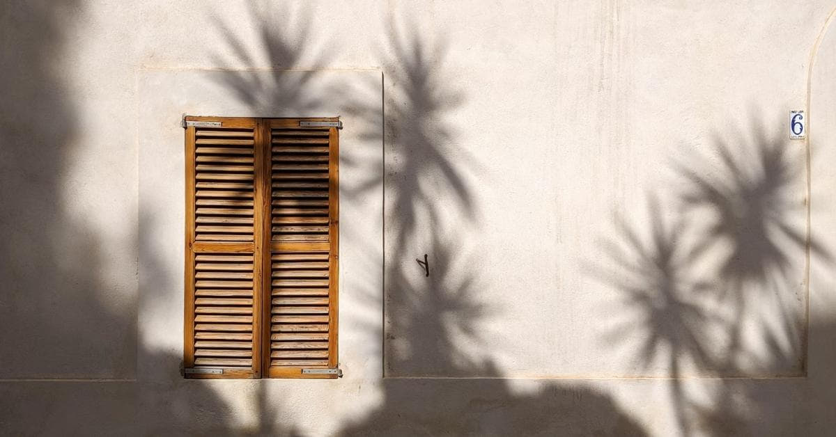 What Is A Shadow