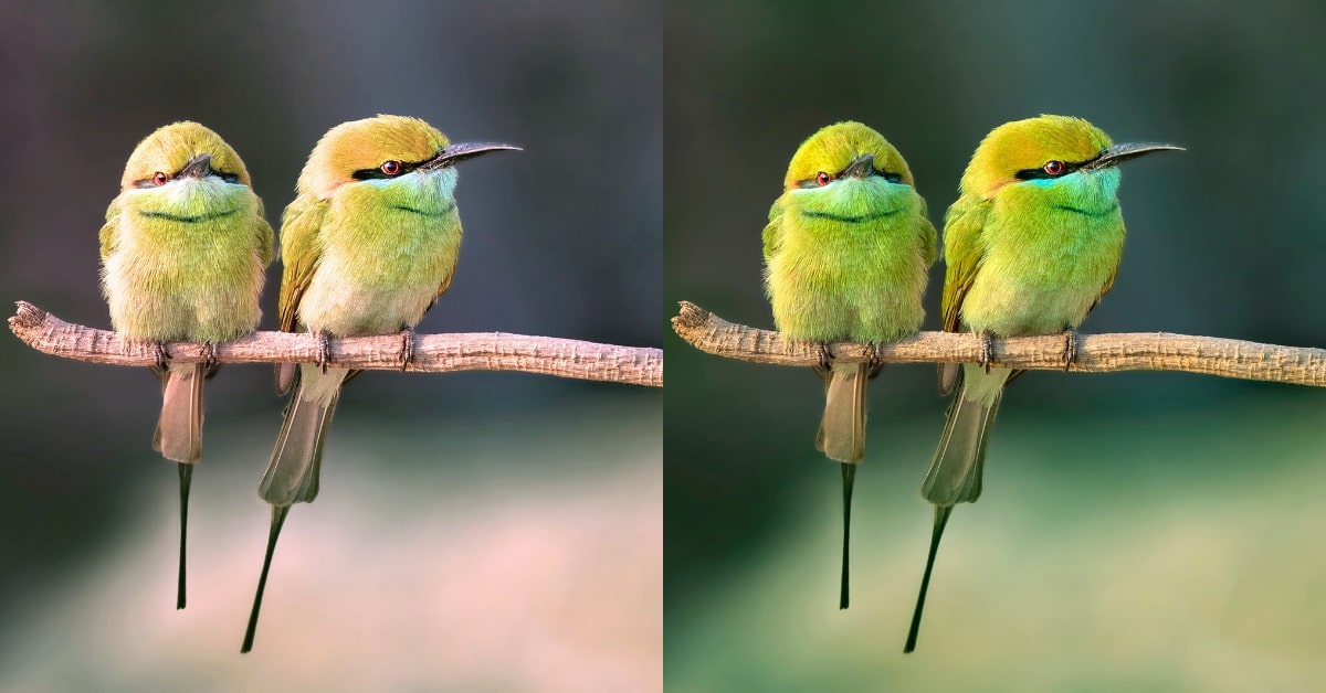 What is Color Correction
