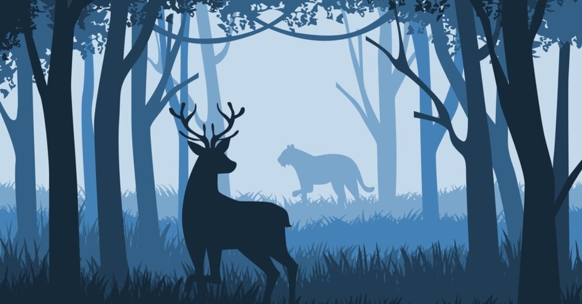 What is The Advantage of Vector Images over Raster Image