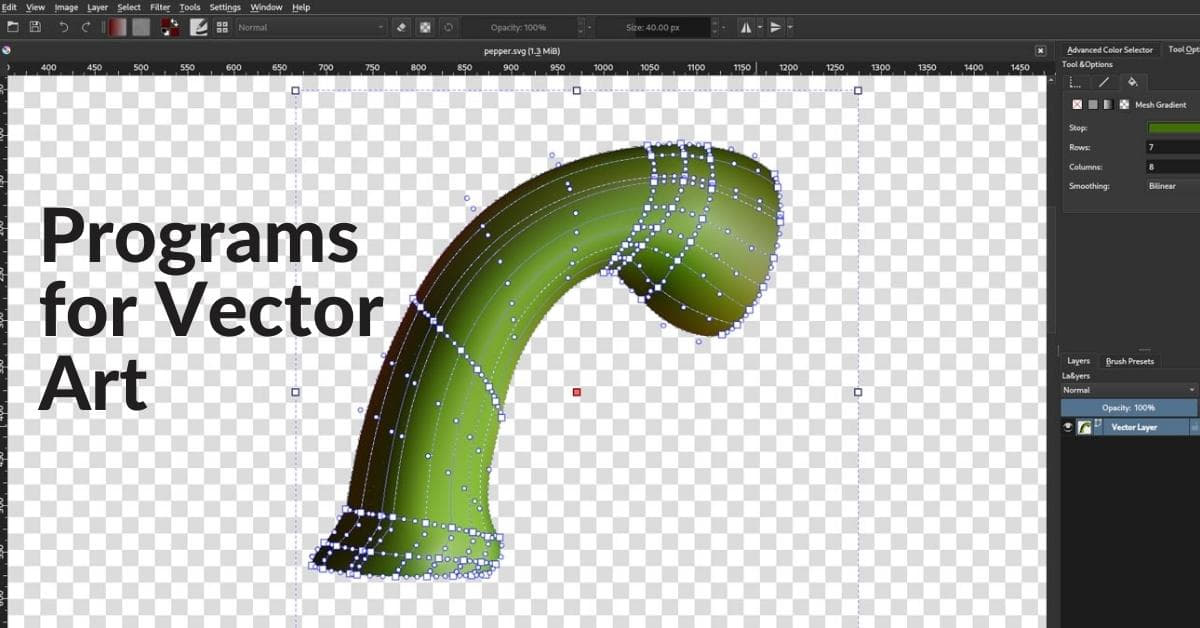 What Programs Create Vector Art