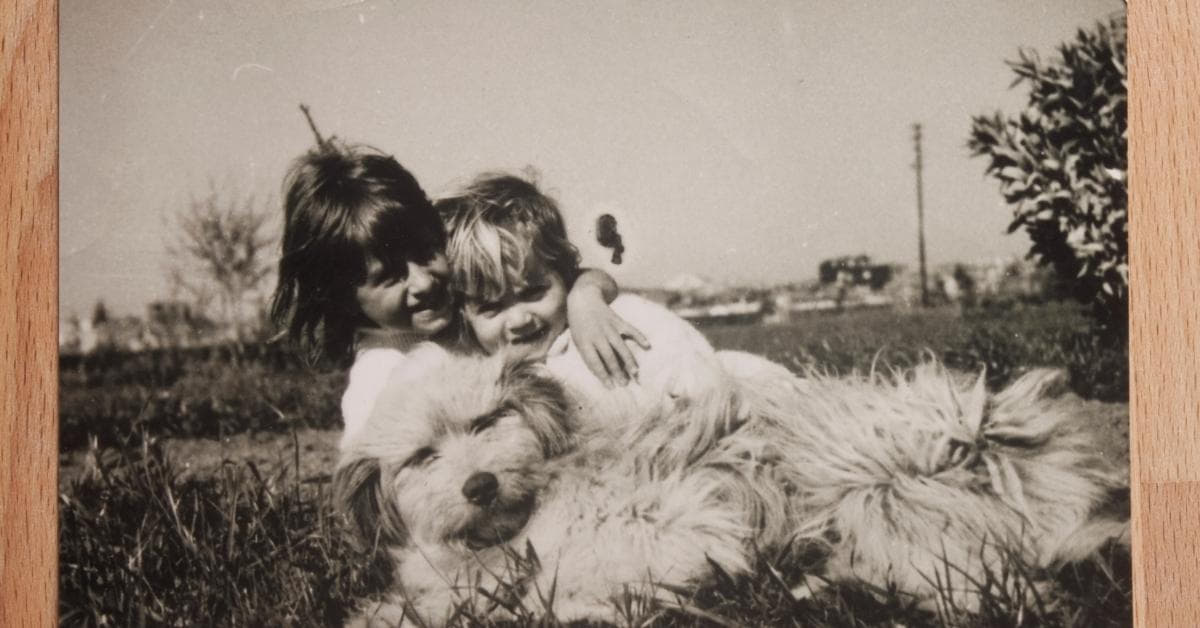 Antique Photo Restoration Near Me