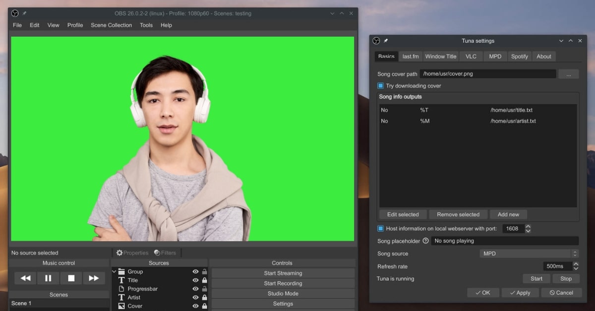 Background Removal in OBS
