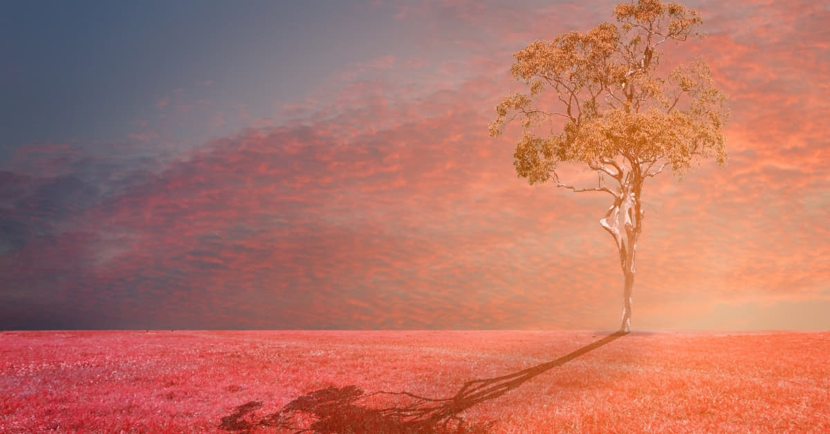 Background Retouching
