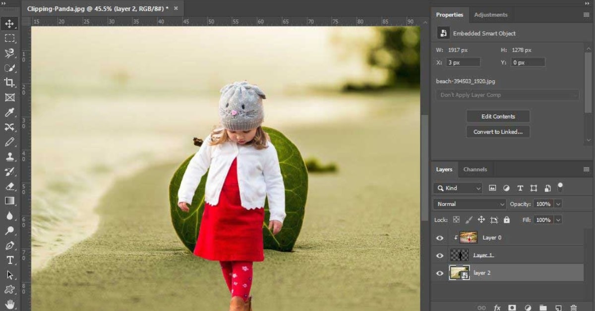Clipping Path Software in Image Editing