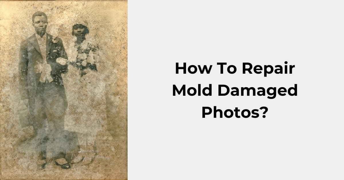 Mold Damage Photo Repair