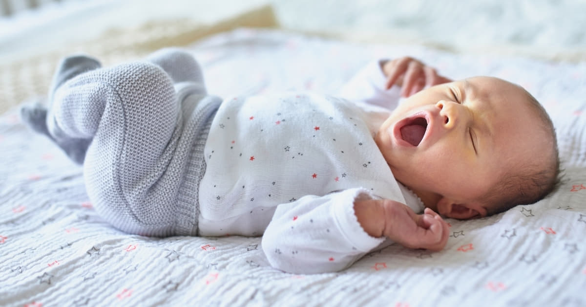 Newborn Photography Software