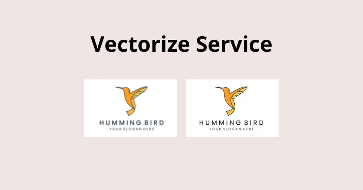 Vectorize Service