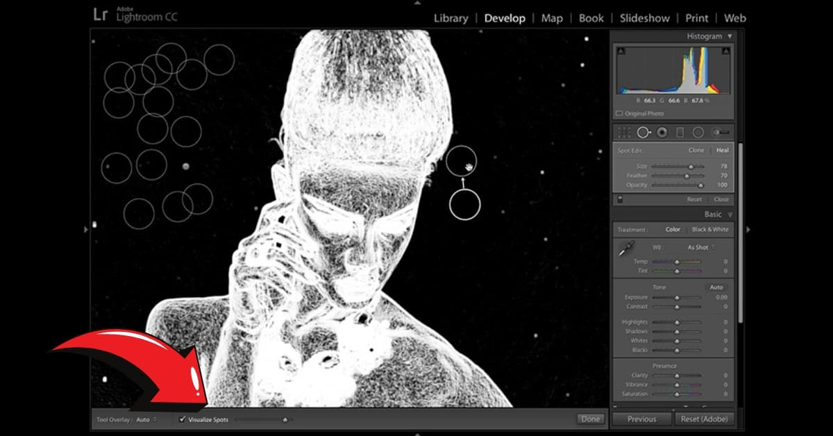 Visualize Spots Lightroom
