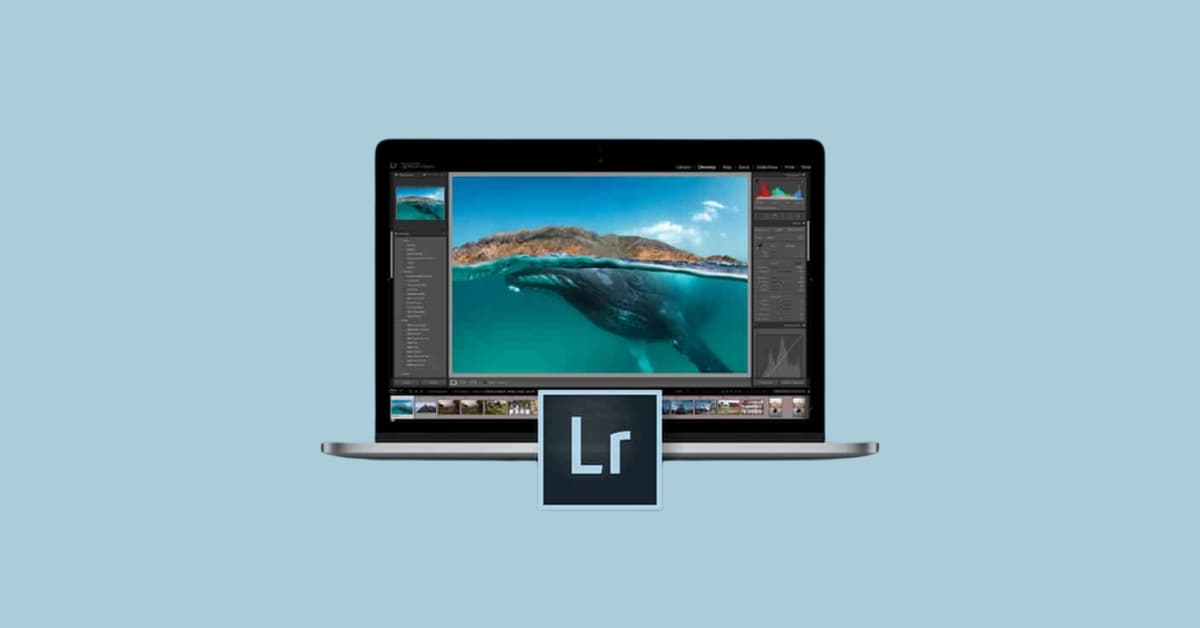 Adobe Picture Editing