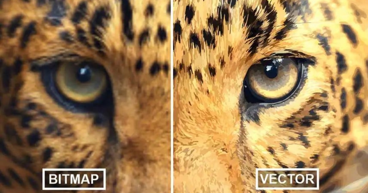 How to Convert Bitmap to Vector for Free?