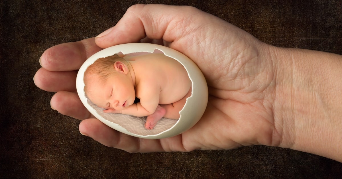 Photo Saving Outsourcing with Photoshop