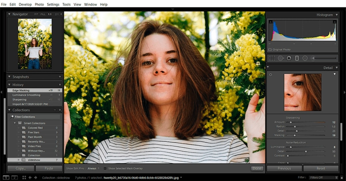 Professional Digital Photo Editing Software