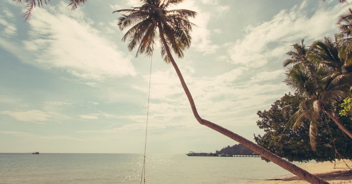 Vintage Presets For Lightroom