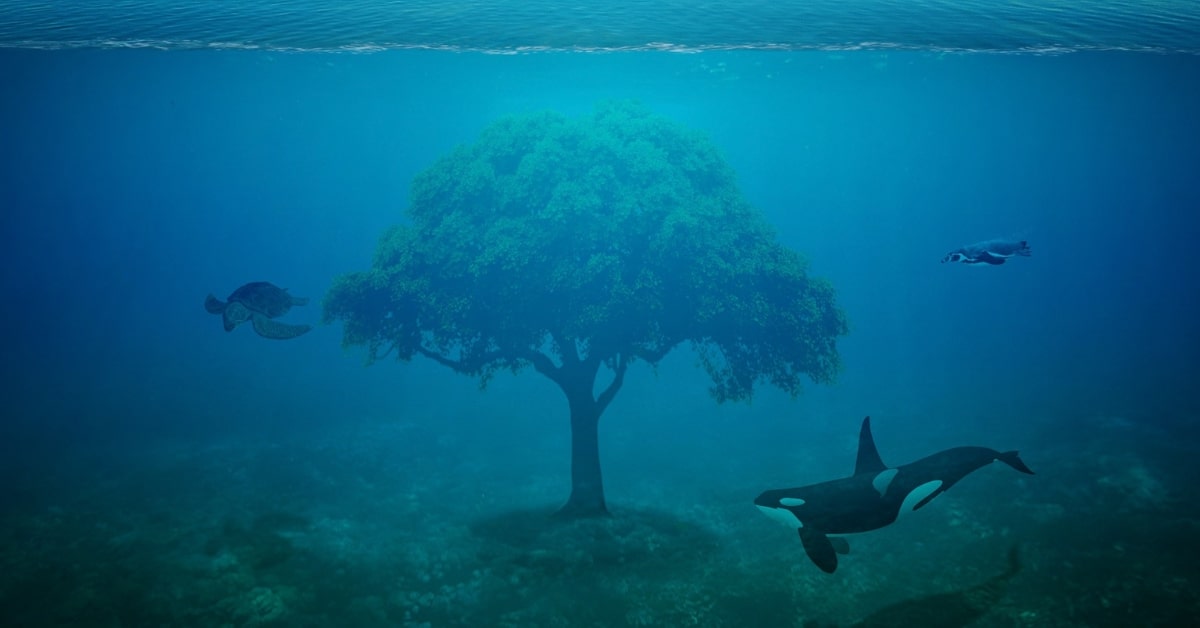 Photoshopping Images