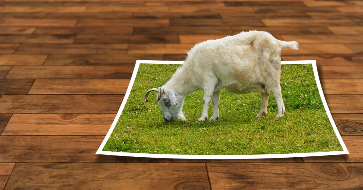 Photo Retouching in Photoshop