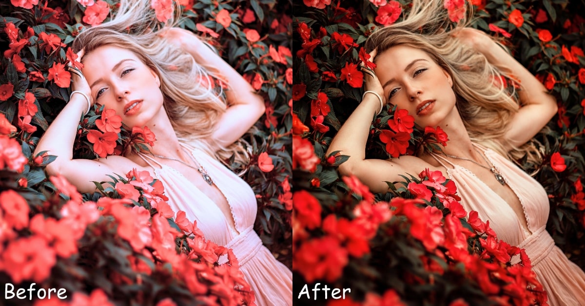 Basic Image Editing Software