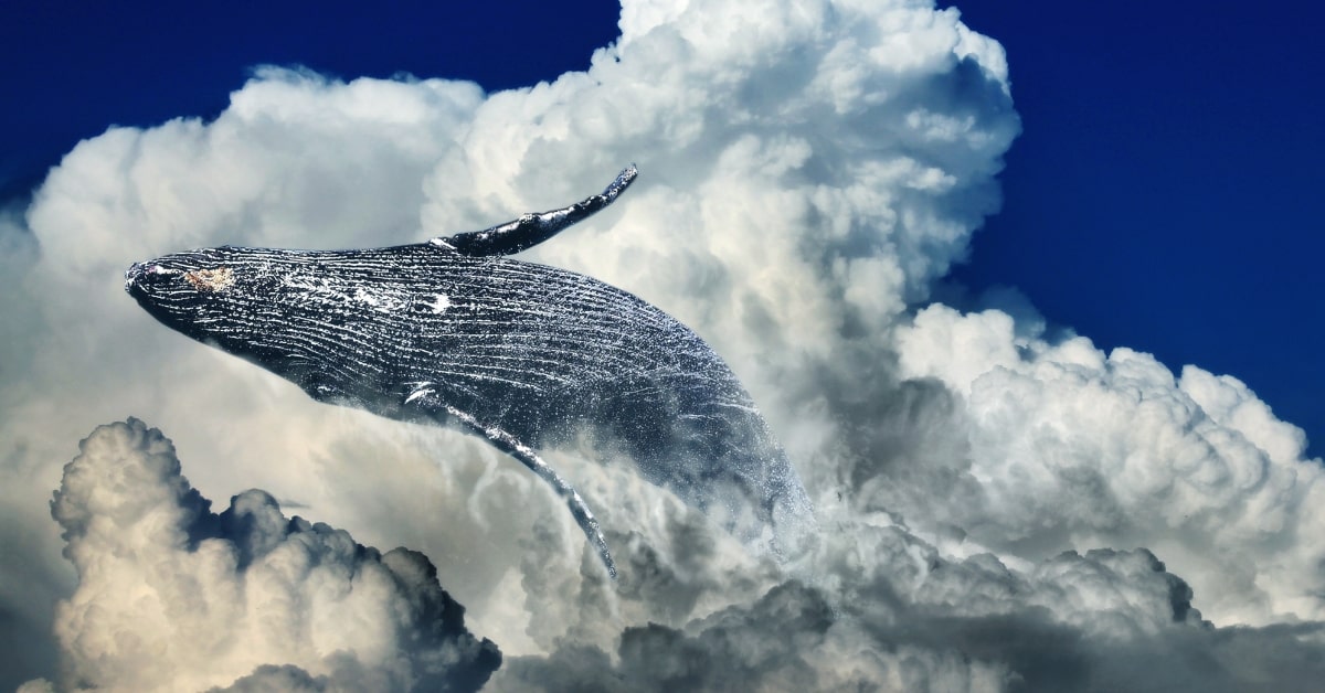Basic Photoshop Editing