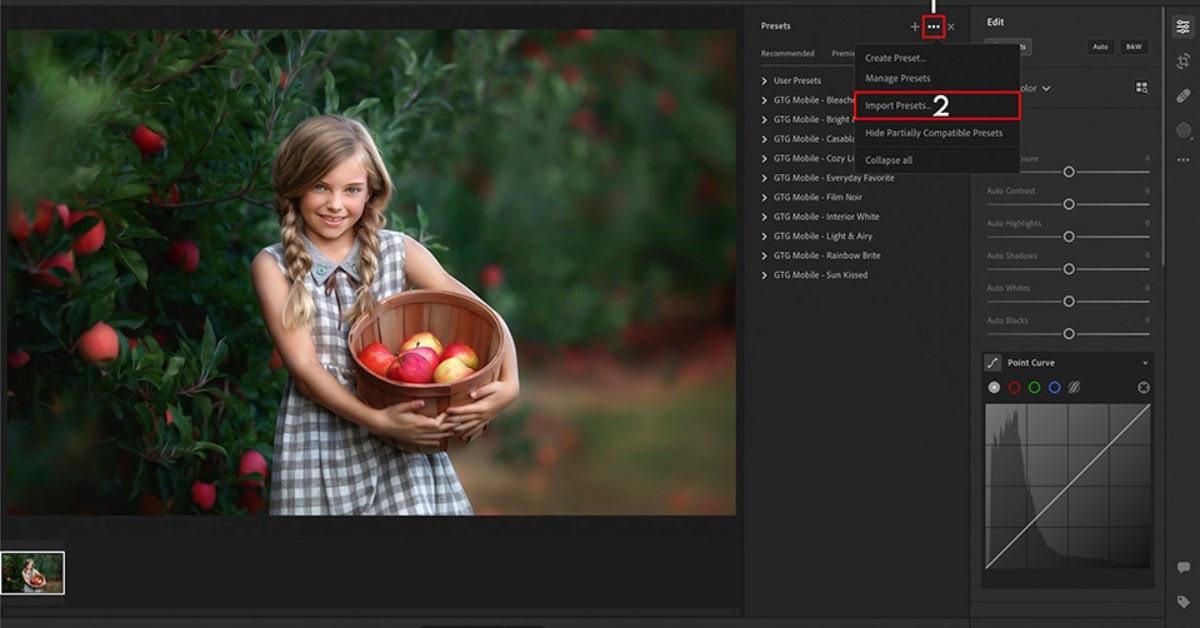Lightroom PC Presets