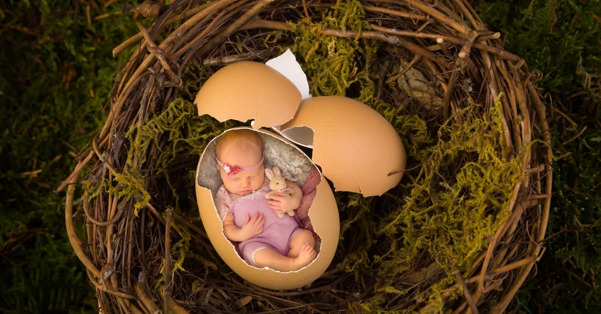 Online Photo Manipulation